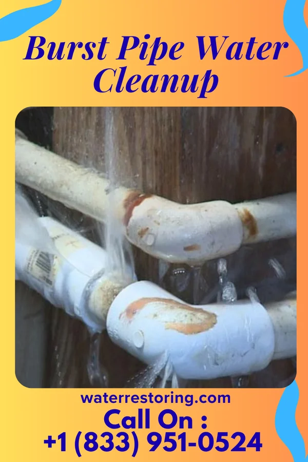 Burst Pipe Water Cleanup in Walkersville, MD