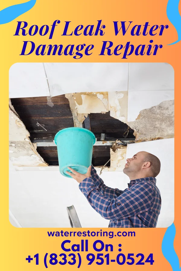 Roof Leak Water Damage Repair in Walkersville, MD