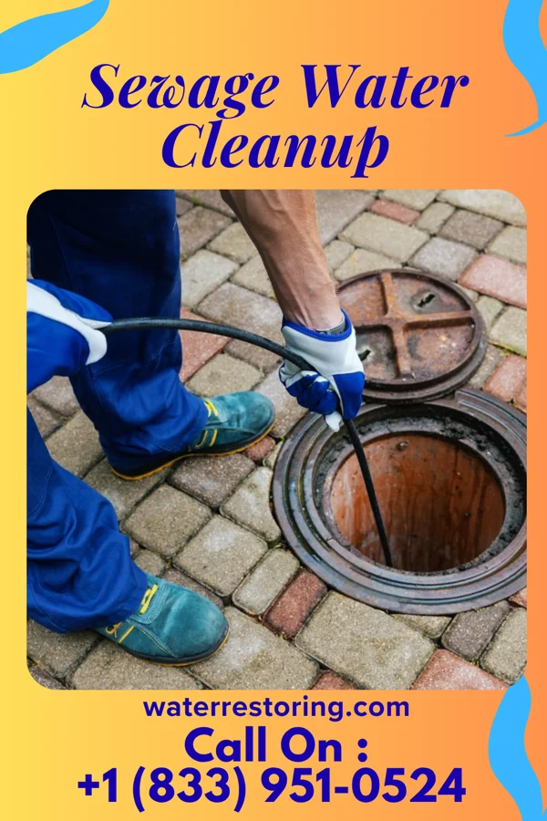 Sewage Water Cleanup in Walkersville, MD