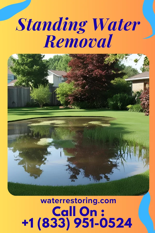 Standing Water Removal in Walkersville, MD